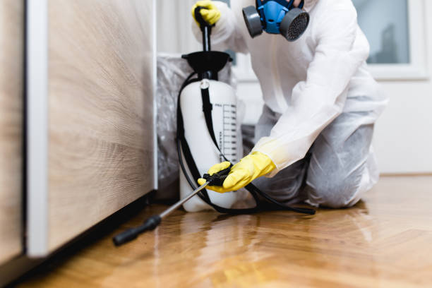 Best Pest Removal Services  in Berrien Springs, MI