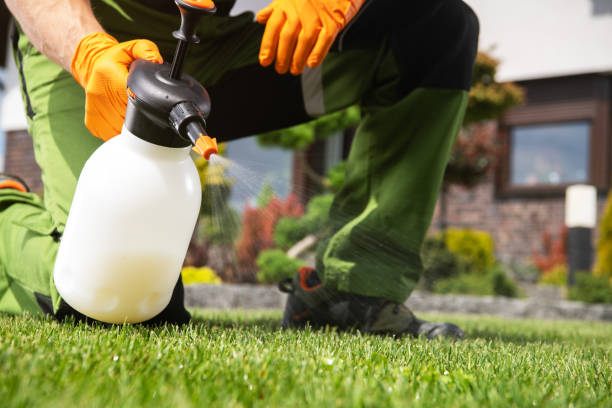 Best Affordable Pest Control Services  in Berrien Springs, MI