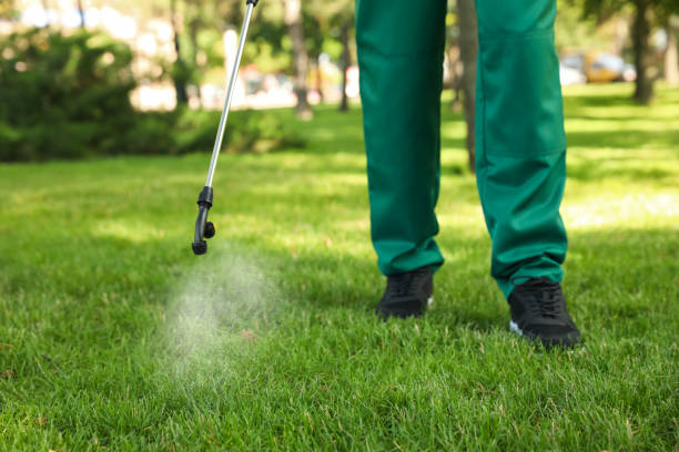 Best Affordable Pest Control Services  in Berrien Springs, MI