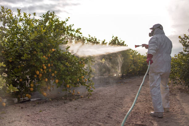 Best Local Pest Control Services  in Berrien Springs, MI