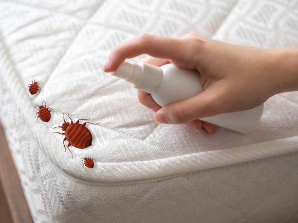 Best Best Pest Control Companies  in Berrien Springs, MI