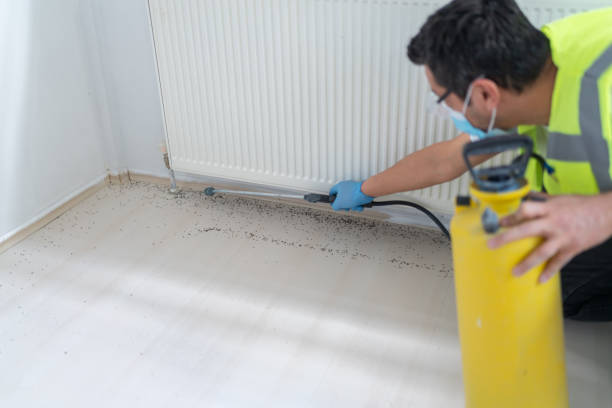Best Residential Pest Control  in Berrien Springs, MI